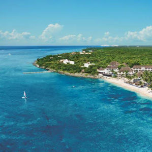 Meet your Posher, Bailey